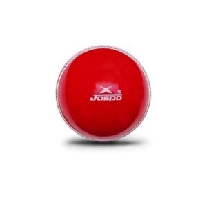jaspo Cricket Ball Soft PVC Ball,Indoor & Outdoor Play, Colour Red (Pack of 1)